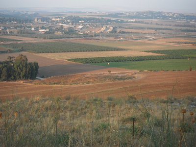 View of Masha (Center) with ‘Ein Jezreel to the Left.
